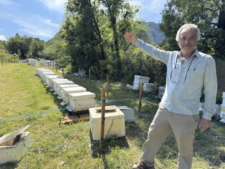 <p>Ayıların verdiği zararın gün geçtikçe büyüdüğünün altını çizen Şanlı,<strong> "Doğa Koruma ve Milli Parklar Müdürlüğü'nün konuyla ilgili bir önlem almasını, ormanlık alanlara ayıların tüketebileceği yiyeceklerin bırakılmasını ya da ayı popülasyonunun kontrol altına alınmasını bekliyoruz."</strong> ifadesini kullandı.</p>