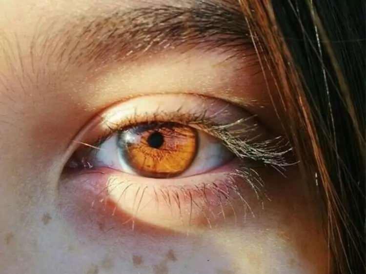 <p>Elâ ve kehribar (ya da bal) rengi gözlerin oranı %5’tir.</p>