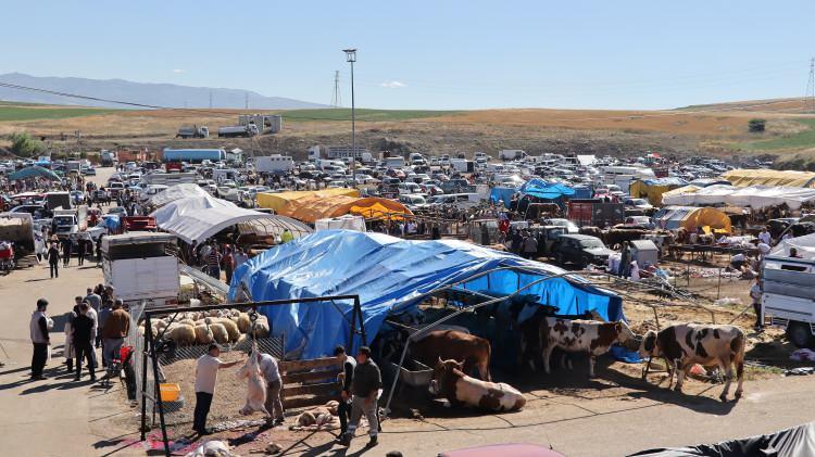 <p>İstanbul'da belirlenen kurban satış noktalarında hazırlıklar sürerken kurbanlıkların İl Tarım Müdürlüğü ekiplerince canlı hayvan sevk noktalarındaki kontrollerinin ardından 22 Mayıs'ta İstanbul'a giriş yapacağı öğrenildi. </p>