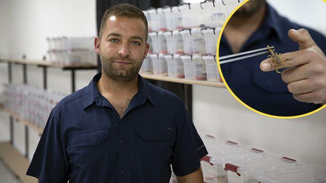 <p>Aydın'ın Kuşadası ilçesinde ofisinde 3 yıl akrepleri inceleyen Hakan Ören, kurduğu tesiste <strong>"akrep zehri"</strong> üretimine başladı.</p>