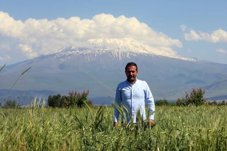 <p><span style="color:#A52A2A"><strong>ÇALIŞMALAR 7 YIL SÜRDÜ </strong></span></p>
<p>Üniversite eğitiminin ardından köyüne döndüğünü anlatan Sağlam, şöyle konuştu:</p>
<p> </p>
<p><strong>"Burada hayvancılık yapmaya başladım. Kaba yem ihtiyacımız oluştu. Devletimiz ıslaha muhtaç mera arazilerini uzun süreli kiralamaya başladı, biz de bu araziye talip olduk, kiraladık. Zorlu, meşakkatli bir çalışmamız oldu. Tamamen taşlık, verimsiz, çorak bir araziydi. Kendi imkanlarımızla, kendi iş gücümüzle, kendi maddi olanaklarımızla bu seviyeye kadar getirdik. 7 yıllık bir çalışmanın sonucunda emeğimizin karşılığını yavaş yavaş almaya başladık."</strong></p>