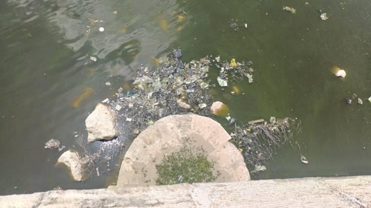 <p><strong>"İzmir Bornova'dan geliyorum. Seyhan Nehri'nin bu manzarası karşısında şu an bir şey düşünmeye bile gerek duymuyorum, kirliliği görünce şok oldum. İzmir Körfezi'nden bile daha kötü durumda. Bir an önce yetkililerin bu konuyu çözüme ulaştırmasını istiyoruz. Sonuçta burası Adana halkının, halkın bunu hak ettiğini düşünmüyorum"</strong> </p>