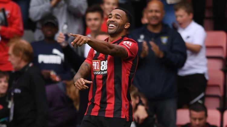 <p>Callum Wilson (Newcastle United)</p>