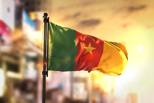 <p><strong><span style="color:#B22222">KAMERUN</span> | 1</strong></p>