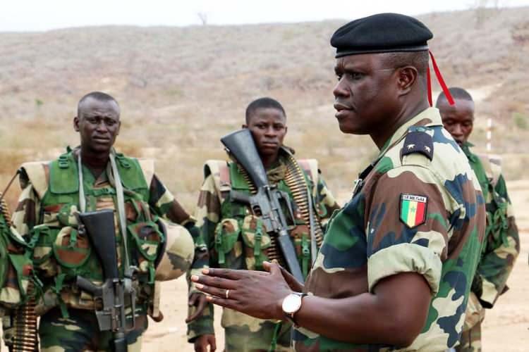 <p><strong><span style="color:#B22222">23)  SENEGAL </span> |  Afrika</strong></p>
