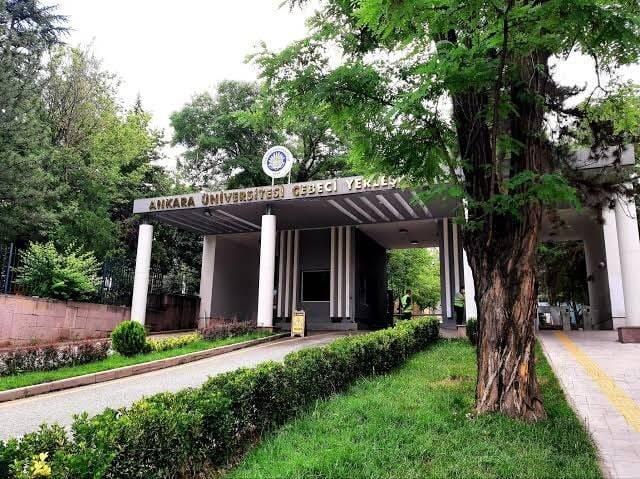 <p>4. Ankara Üniversitesi - 291,45</p>

