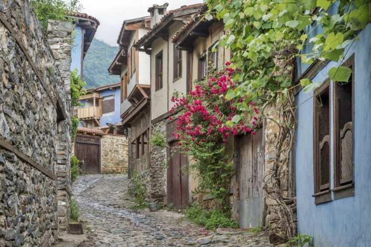 <p><span style="color:#B22222"><strong>4. Cumalıkızık Köyü (Bursa)</strong></span></p>
<p> </p>
<p> </p>
<p>UNESCO Dünya Mirası listesinde yer alıyor. Osmanlı köy mimarisinin en iyi örneklerinden. Kültür turizmi meraklıları, tarihçiler.</p>