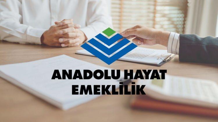 <p><strong>94 - ANADOLU HAYAT</strong></p>
<p> </p>