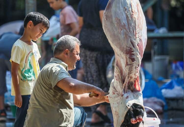 Kurban Bayramı öncesi uzmanlardan 'salmonella bakterisi' uyarısı: Bunları yaparken dikkat edin!