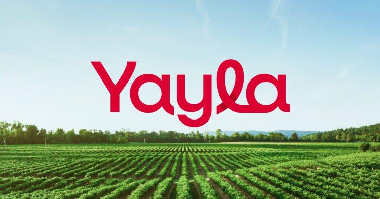 <p><strong>45 - YAYLA</strong></p>
