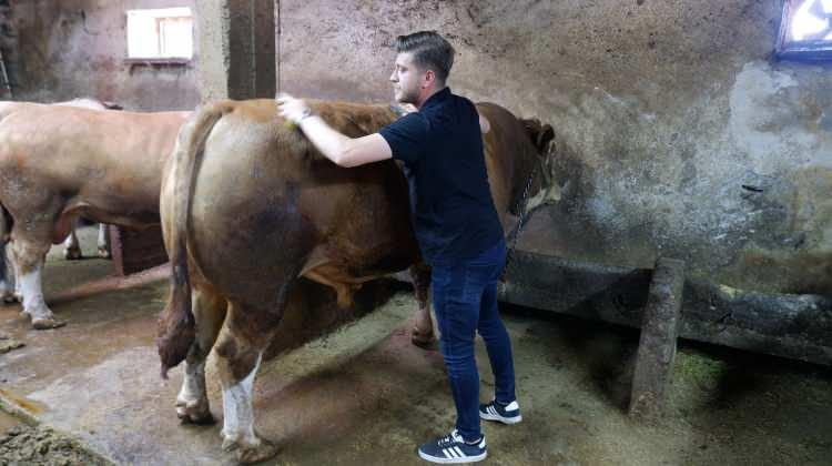 <p>Ahmet Çelik, "Bizde ayrı bir yeri olan tosunumuza Erzurum’da rakip çıkmadı. Yaklaşık 1 ton 200 kilo gelen tosunumuza 400 bin lira değer biçtik. Pazarlık sonucu yeni sahibini buldu" şeklinde konuştu.</p>
