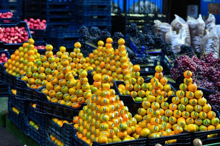 <p>Üretici Örgütlerine Destek: Üretici örgütlerine toptancı hali kurmaları için bedelsiz yer tahsis edilecek ve mevcut hallerde %75 kira indirimi sağlanacak. Bu, üreticilerin doğrudan piyasaya erişimini kolaylaştırarak aracı maliyetlerini düşürmeyi amaçlıyor.</p>
