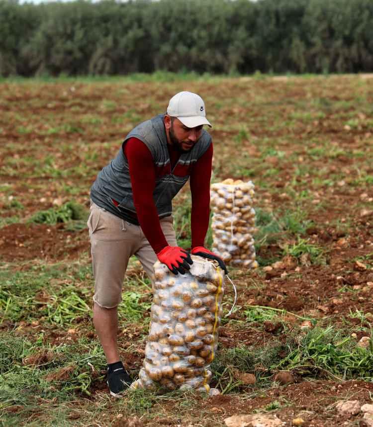 <p>Bir günde ortalama 250-300 ton patates yükleyen işçiler günlük 2 bin 500 lira yevmiye alırken, aylık 90 ile 100 bin lira arasında kazan. elde ediyorlar. </p>