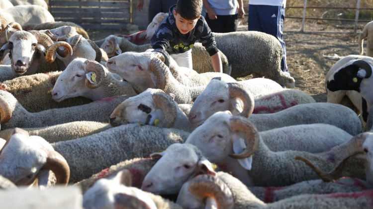 <p>İslam dünyası, bir kez daha Kurban Bayramı'na ulaşmanın sevincini yaşıyor...</p>
<p> </p>