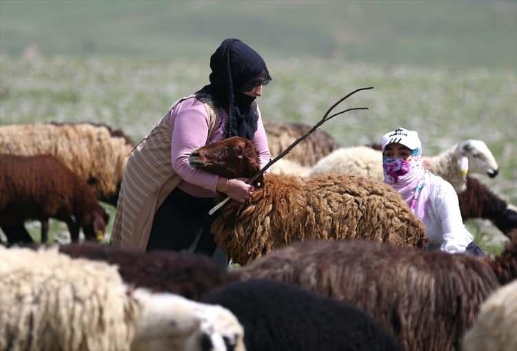 <p>Proje kapsamında 100 koyun alan Baba'nın İstanbul'da yaşayan ve tekstil sektöründe çalışan kızı <strong>Yeşim Baba da (20) aynı yıl köyüne dönerek annesiyle el ele verip üretim yapmaya başladı. </strong></p>