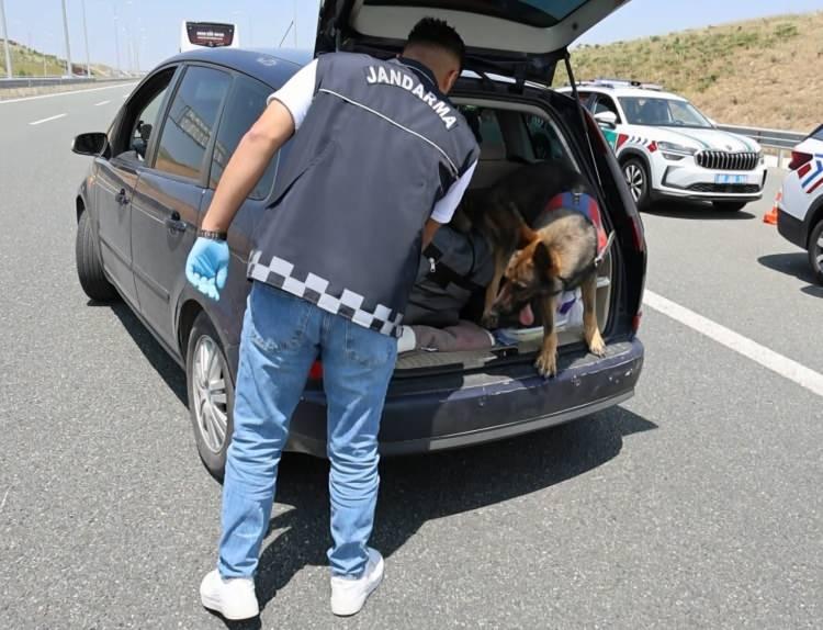 <p>Yapılan aramada araç bagajından içine kadar koklayarak arama yapan Etap, araç direksiyon altından aldığı uyuşturucu kokusu üzerine tepki verdi. </p>