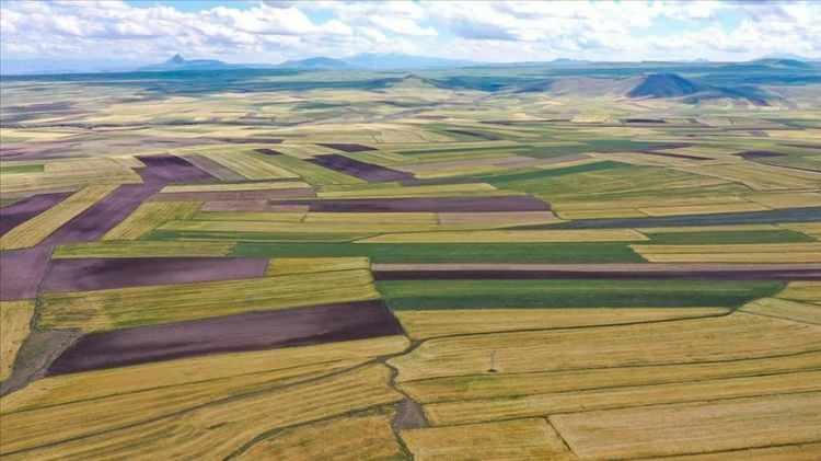 <p><strong>TOKİ 41 İLDE 310 MUHTELİF ARSA SATIŞI NEREDE VE NE ZAMAN YAPILACAK?</strong></p>
<p> </p>
<p>Açık artırma toplantısı, Bilkent Otel Bilkent-Çankaya/Ankara, Halkalı Hizmet Binası Halkalı/İstanbul adreslerinde ve www.emlakmuzayede.com.tr’den internet sitesi üzerinden 19-20 Haziran 2025 saat 10.30'da yapılacak.</p>