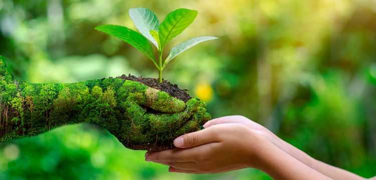 <p>Sıfır Atık Projesi ile günümüze kadar 32,5 milyon ton kağıt-karton, 9,1 milyon ton plastik, 3,1 milyon ton kam, 6,4 milyon ton metal, 23,4 milyon ton organik ve diğer geri dönüştürülebilir atık olmak üzere toplam 74,5 milyon ton atık ekonomiye kazandırıldı.</p>