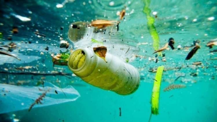<p>28 kıyı ilinde sürdürülen çalışmalarla deniz kıtaları, kıyı şeritleri ve deniz ana hatlarıyla genel temizlik yürütülürken, kamuoyunun bilinçlendirilmesine yönelik eğitim programları da hayata geçirildi.</p>
