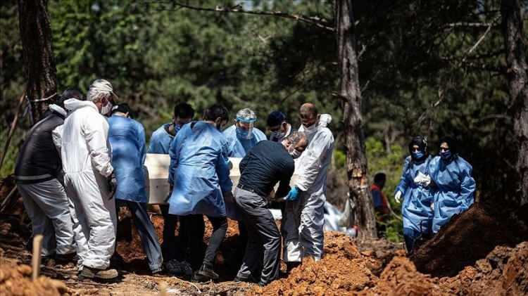 <p>İhbarların ardından Söke Cumhuriyet Başsavcılığınca soruşturma başlatıldı.</p>
<p> </p>