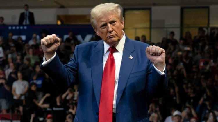 <p><strong><span style="color:#B22222">DONALD TRUMP </span> |  THE DONALD</strong></p>
