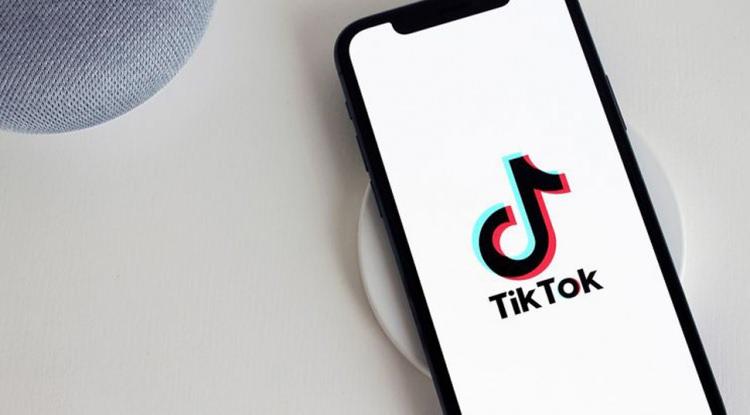 <p>Uzmanlar, TikTok ve diğer sosyal medya platformlarının zararlı içeriklere karşı alternatif yollar bulması gerektiğini savunuyor.</p>