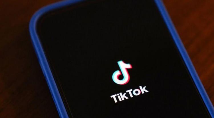 <p>"Skinnytok", olumsuz beden algısına ilişkin aşırı zayıflığı idealleştiren içeriklerin paylaşıldığı bir etiket.</p>