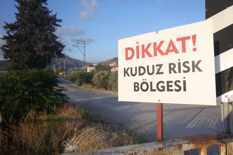 <p>Hatay'ın Samandağ ilçesinde görülen kuduz vakası nedeniyle 4 mahalle karantinaya alınmıştı. <strong>Vatandaşın diken üstünde olduğu bölgede yeni bir gelişme yaşandı.</strong></p>