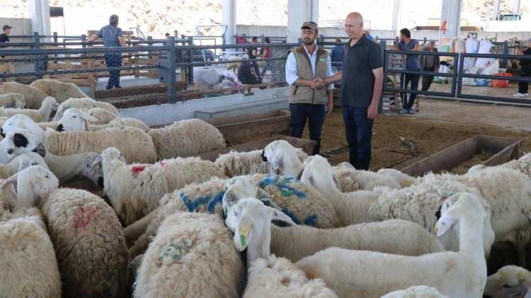 <p>Kurban kesmek yerine sadaka vermekle ibadet yerine getirilmiş olur mu?</p>
<p>Kurban ibadeti ancak kurban olacak hayvanın usulüne uygun olarak kesilmesiyle yerine getirilmiş sayılıyor. Bedelini infak etmek suretiyle, kurban ibadeti yerine getirilmiş olmuyor. Kesme olmadan hayvanı sadaka olarak bir kişiye vermek kurban yerine geçmiyor. Aynı şekilde kurban bedelini de yoksullara ya da yardım kuruluşlarına vermek suretiyle kurban ibadeti ifa edilmiş sayılmıyor.</p>