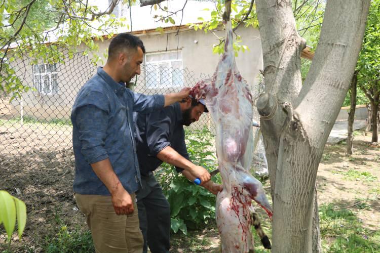 <p>Yüksekova’ya 25 kilometre uzaklıktaki <strong>200 hane ve 1500 nüfuslu Kısıklı köyünde</strong> yaşayanlar, bir asırlık kurban kesme ve et dağıtma geleneğini bu bayramda da devam ettirdi. </p>