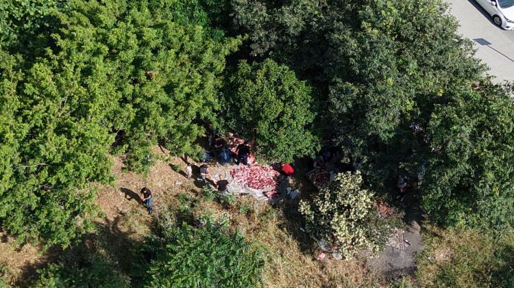 <p><span style="color:rgb(33, 37, 41)">Sultangazi’de Kurban satış alanına birkaç kilometre uzaklıkta bulunan bazı boş arazilerde aynı manzaralar yaşandı.</span></p>