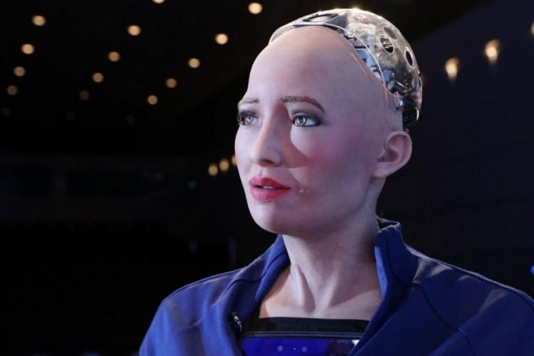 <p><strong><span style="color:#B22222">2. Sophia (Hanson Robotics)</span></strong></p>