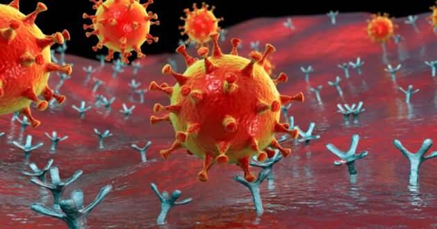 <p><span style="color:#000000"><strong>MERS (Orta Doğu Solunum Sendromu) virüsüne genetik olarak yakın olduğu belirtilen yeni virüsün ciddi bir ölümcüllük potansiyeline sahip olması yeni bir pandemi dönemi korkusuna sebep oldu.</strong></span></p>