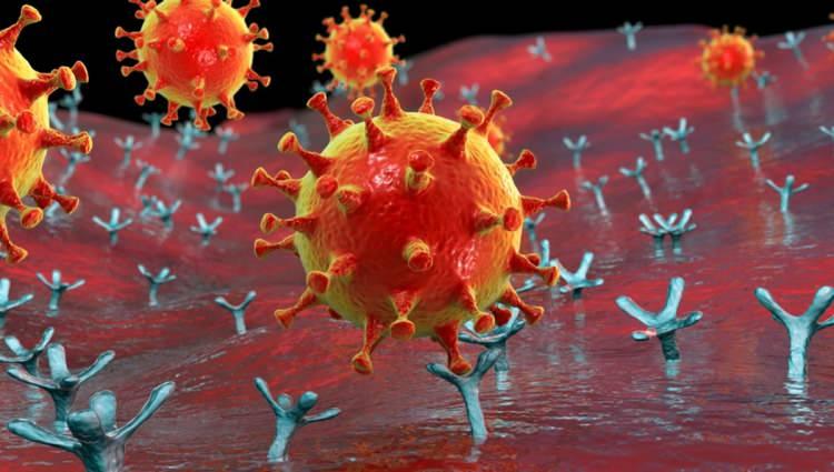 <p><span style="color:#FF0000"><strong>"İNSANLARI ENFEKTE EDERSE ENDİŞELENMELİYİZ"</strong></span></p>

<p><span style="color:#000000"><strong>Prof. Dr. Michael Letko, "Yeni keşfedilen virüs de MERS’e o kadar yakın ki, insanları enfekte ederse endişelenmeliyiz. Henüz insanlara geçtiklerine dair bir kanıt olmasa da potansiyelleri var ve bu da onları izlemeye değer kılıyor" değerlendirmesinde bulundu.</strong></span></p>
