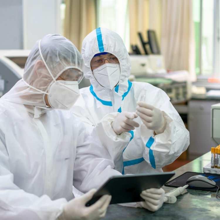 <p><span style="color:#000000"><strong>Araştırmacılar, yeni virüsün vizon veya misk kedisi gibi ara bir hayvana sıçraması durumunda, insanlara ulaşmadan önce mutasyona uğrayabileceğini belirtti.</strong></span></p>
