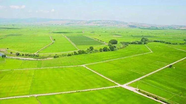<p> </p>
<p><strong>310 ARSA HANGİ İLDE YER ALIYOR?</strong></p>
<p> </p>
<p>Diyarbakır, Edirne, Kırklareli, İstanbul, Tekirdağ, Kocaeli, Bursa, Bilecik, Sakarya, Çanakkale, İzmir, Manisa, Balıkesir, Antalya, Muğla, Gaziantep, Adana, Adıyaman, Mersin, Hatay, Kahramanmaraş, Şanlıurfa,</p>