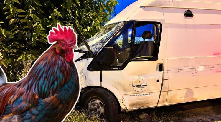 <p><em><strong>Hatay'da minibüs ile çarpışan otobüsün bagajında bulunan ve telef olan horoza kalp masajı yapan bir şahsın o anları kameraya yansıdı.</strong></em></p>
