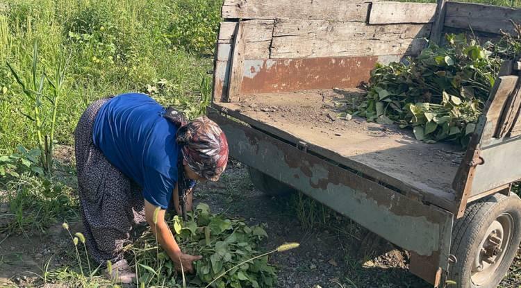 <p>Aldığı cezadan &ouml;t&uuml;r&uuml; muhtarlığı d&uuml;ş&uuml;r&uuml;len Zeki Yılmaz, mahallelinin ısrarı ile eşini aday olarak g&ouml;sterdiğini s&ouml;yledi.</p>
