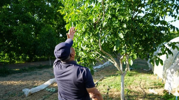 <p><span style="color:#A52A2A"><strong>ÖRNEK BAĞIŞTAN ETKİLENDİ</strong></span></p>
<p>Burdur merkeze bağlı Gökçebağ köyünde ikamet eden ve emekliliklerinin ardından kendi elleriyle kurdukları bahçelerinde vakit geçiren <strong>Mehmet Ali Uysal (76) ve Arzı Uysal çifti,</strong> bu anlamlı bağış haberinden etkilenerek, uzun yıllardır özenle baktıkları 2,8 dönümlük arazilerini Jandarma Asayiş Vakfı'na bağışlama kararı aldı. </p>