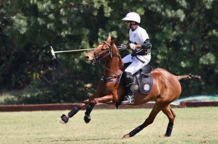 <p><span style="color:#800000"><strong>ANİDEN YERE YIĞILDI</strong></span></p>
<p><span style="color:#000000"><strong></strong>İngiltere' nin ünlü Guards Polo Club tesislerinde sahaya çıkan 53 yaşındaki milyarder, oyun sırasında aniden yere yığıldı.</span></p>
<p> </p>