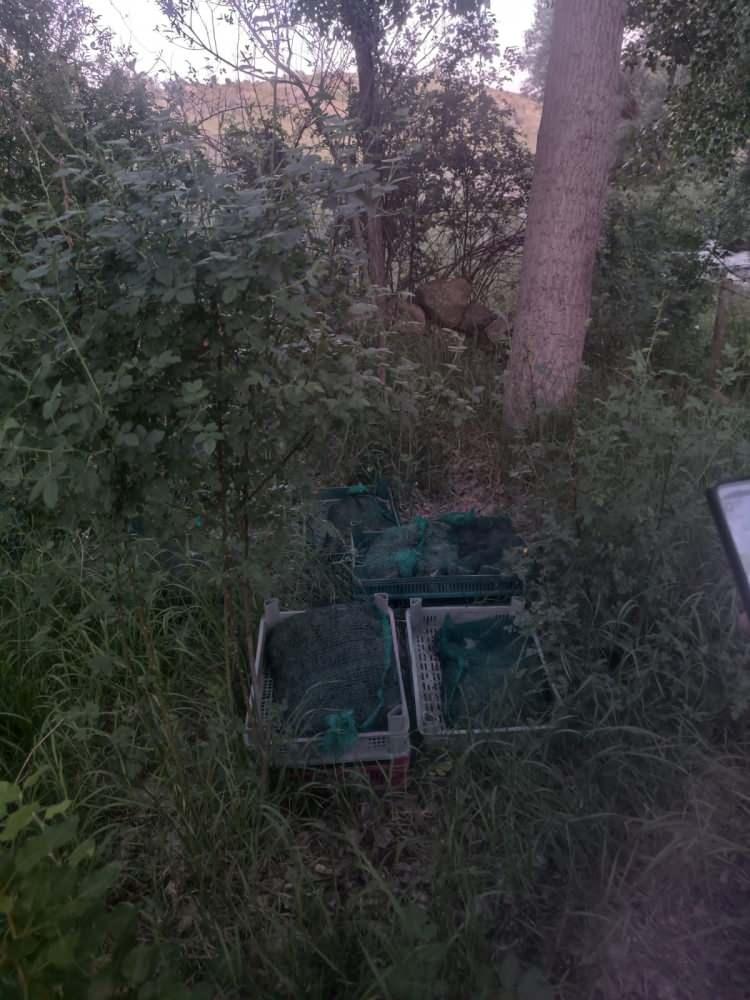 <p>Niğde’nin Çiftlik ilçesinde dere yatağından izinsiz olarak kurbağa toplayan 4 kişi, jandarma ekiplerince yakalandı. Şüphelilerin kurbağaları yurt dışına yurt dışına satacakları öğrenildi.</p>
<p> </p>