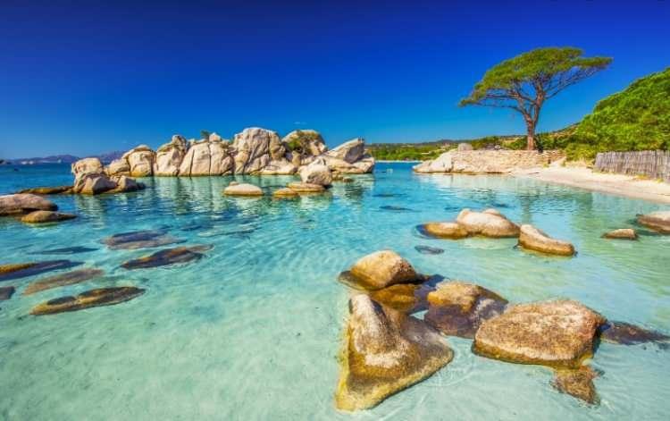 <p><strong>16. Plage de Palombaggia, Fransa</strong></p>
