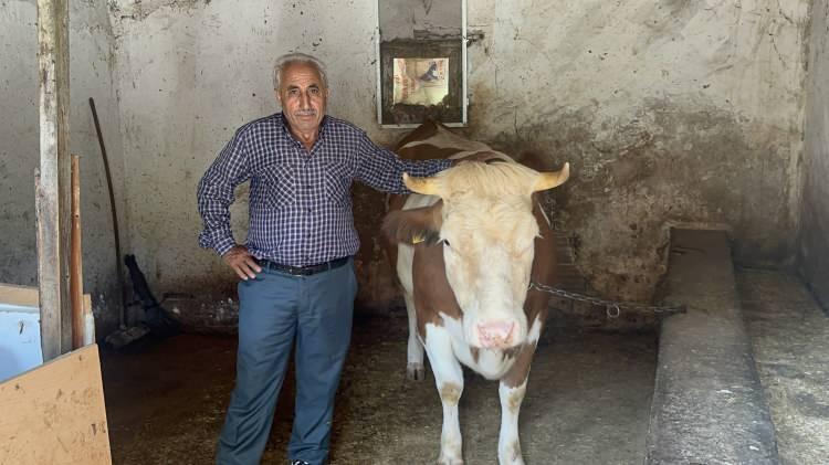 <p>Bir süre sonra hesabına gelen parada bir sıfırın eksik olduğunu fark eden Keser Altuntaş, şüphelileri cep telefonlarından arayınca, dolandırıldığını anlayıp polise ihbarda bulundu.</p>