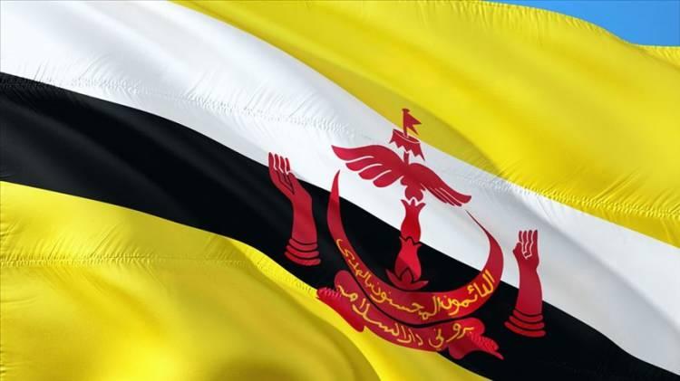 <p><span style="color:#B22222"><strong>BRUNEİ</strong></span></p>
