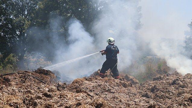 <p>Kocaeli'nin İzmit ilçesinde bulunan tarım arazisinde başlayan yangının acı bilançosu açıklandı. </p>