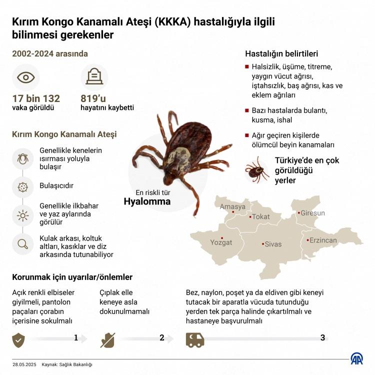 <p>Dünyada 500-600 civarında, Türkiye'de ise tespit edilmiş 50 civarında kene türü olduğunu belirten Uzun, "Tabi ki bunların hepsi bu virüsü taşıyıp yaymıyor. Hyalomma dediğimiz bir cins var, onunla bulaşan bir mikroorganizma" dedi.</p>