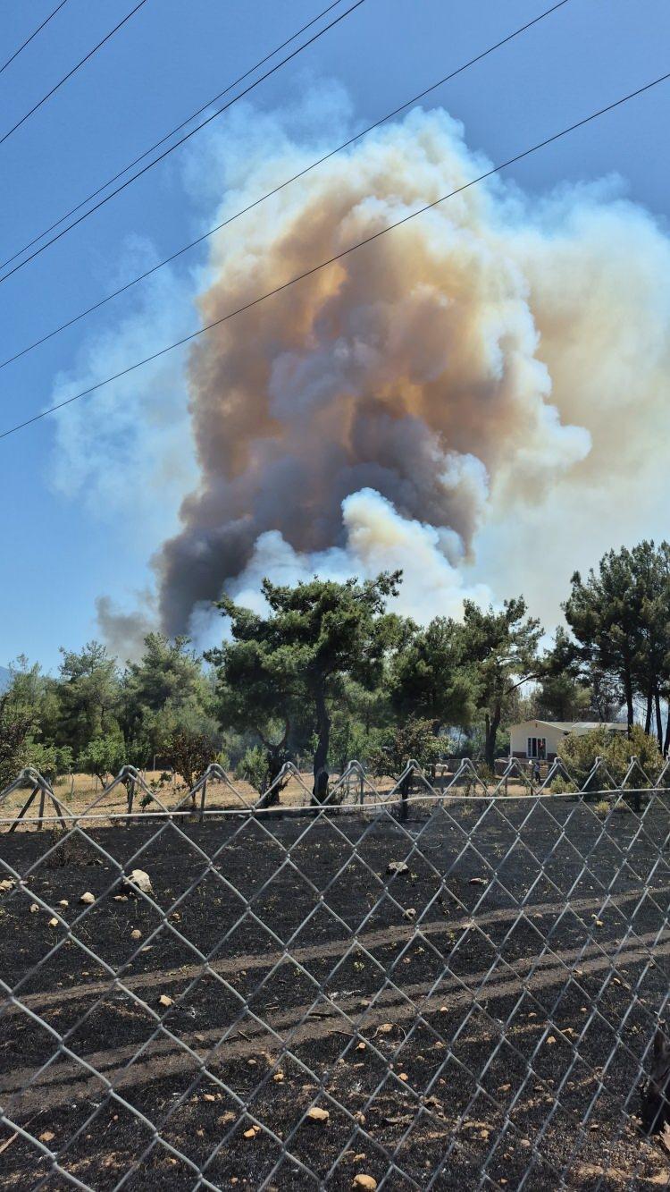 <p>Yangına ilk müdahalesi 14.30'da yapılarak, İzmir Orman Bölge Müdürlüğüne ait: 2 uçak, 9 helikopter, 17 arazöz, 5 su ikmal, 3 dozer ile yangını en kısa sürede kontrol altına almak için ekipler tarafından müdahale devam ediyor.</p>