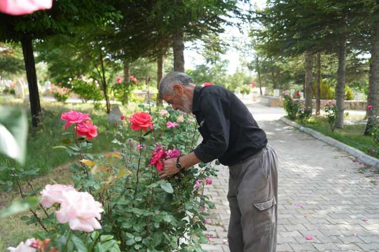 <p><strong>"Belediye başkanım Bayram Uzan beni buraya aldırabilmek ve sigortamı yatırmak istedi. Mezarlık olamadı ama 1 sene oldu belediyeye işçi olarak gireli. Belediyede 'Hüdaverdi ağabey emekli olursan ne yapacaksın?' diye soruyorlar, ben mezarlığı birazcık daha güzelleştireceğim diyorum. Burası olmadan olmaz, burası anlatılmaz yaşanır. Belediyedeki işimde taş taşımaya, kilitli parke döşemeye gidiyorum sürekli bakıyorum saate, buraya gelmem lazım diye. Bazen uykum geldiği zaman oluyor kapıyı çekip yatıyorum burada."</strong></p>