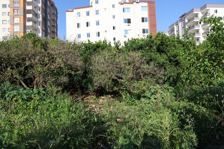 <p>Olayın ortaya çıkmasının ardından Mersin Büyükşehir Belediyesine bağlı Adana Su ve Kanalizasyon İdaresi'nin bölgeye boru döşediği ancak herkesi hayrete düşürecek bir şekilde işi tamamladığı ileri sürüldü. </p>