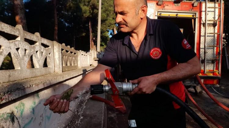 <p>Mehmet Şenol'un evinde bulunan muhabbet kuşunu gelen itfaiye ekipleri kurtardı. Dumandan etkilenen kuşa ilk müdahaleyi de itfaiye ekipleri yaptı.</p>
<p> </p>